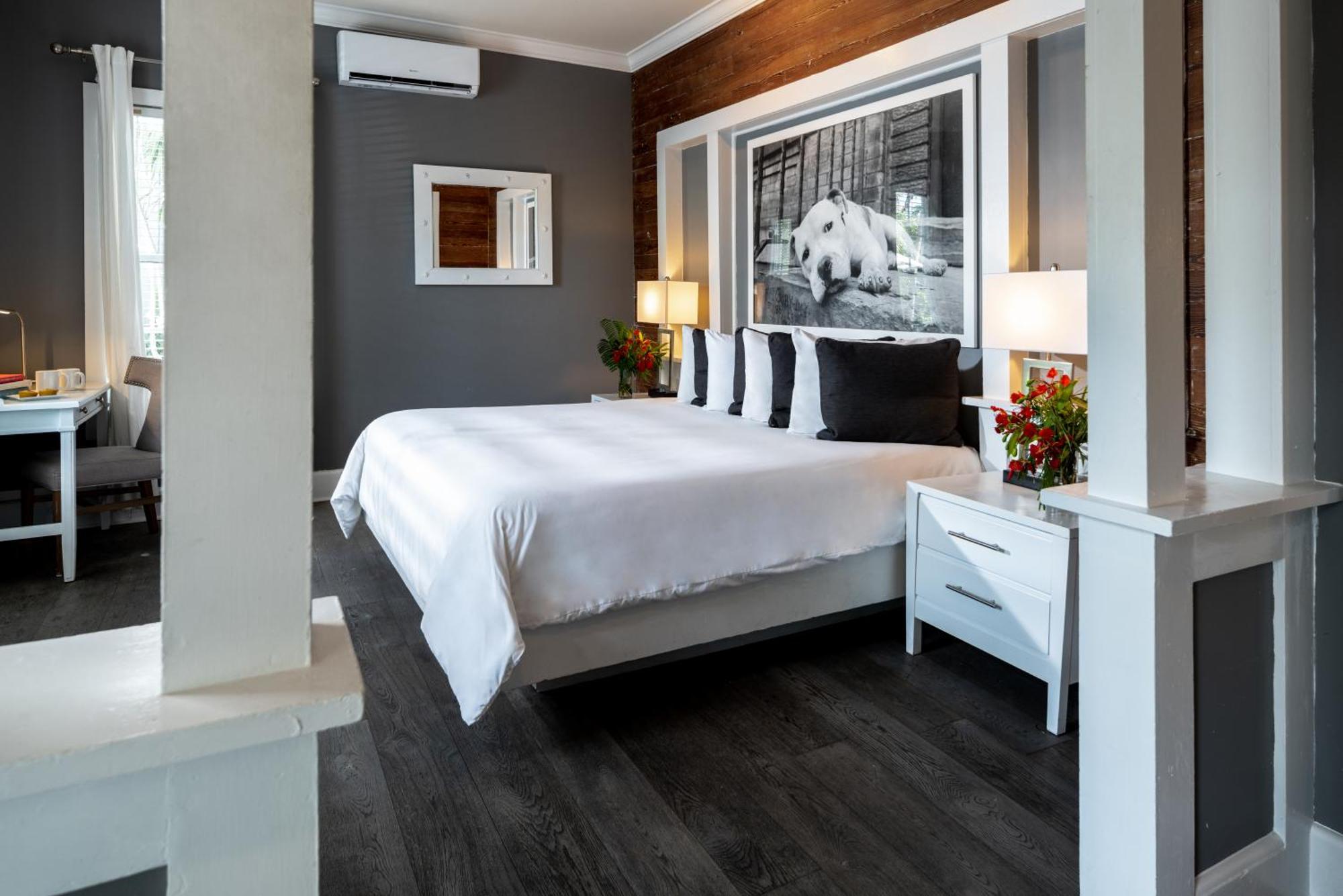 Alexander'S Guesthouse-Adult Exclusive, Lgbtq Friendly Кі-Вест Номер фото