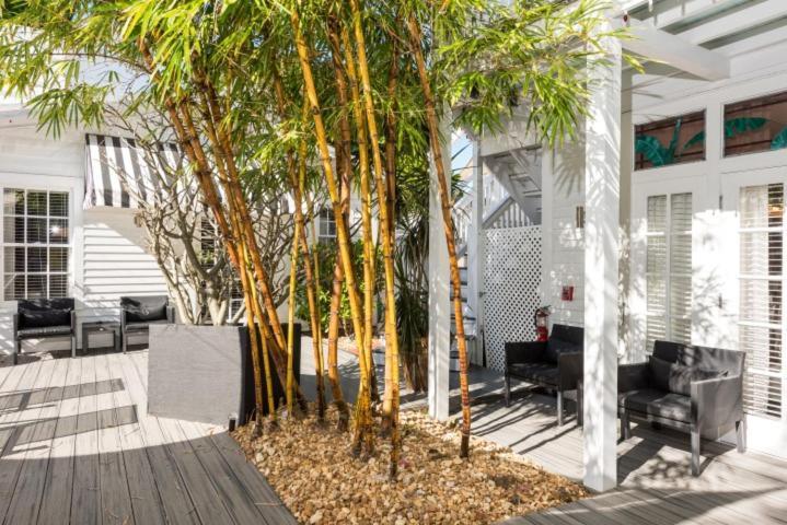 Alexander'S Guesthouse-Adult Exclusive, Lgbtq Friendly Кі-Вест Номер фото